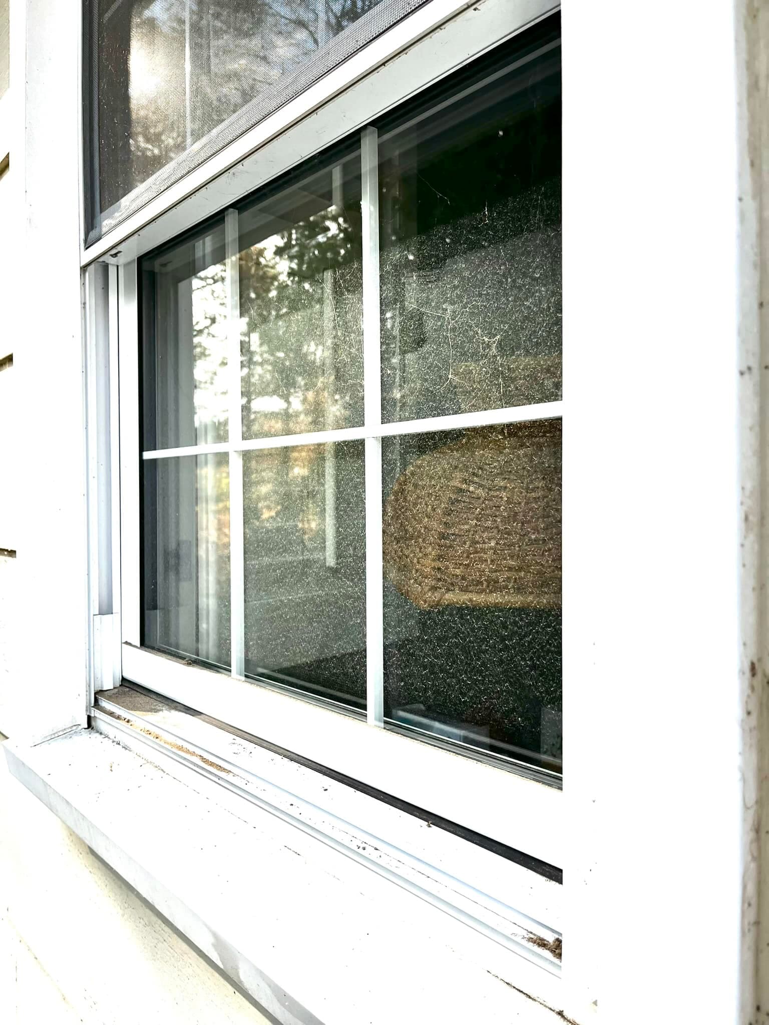 Close-up of a residential window with a grid pattern, revealing a textured interior view.